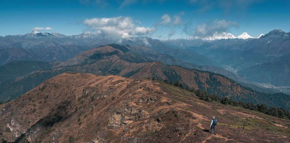 Trekking through Chele la Mountain pass in Bhutan