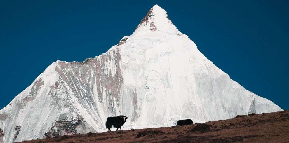 Mt.Jomolhari Loop - TREKKING TOUR in Bhutan