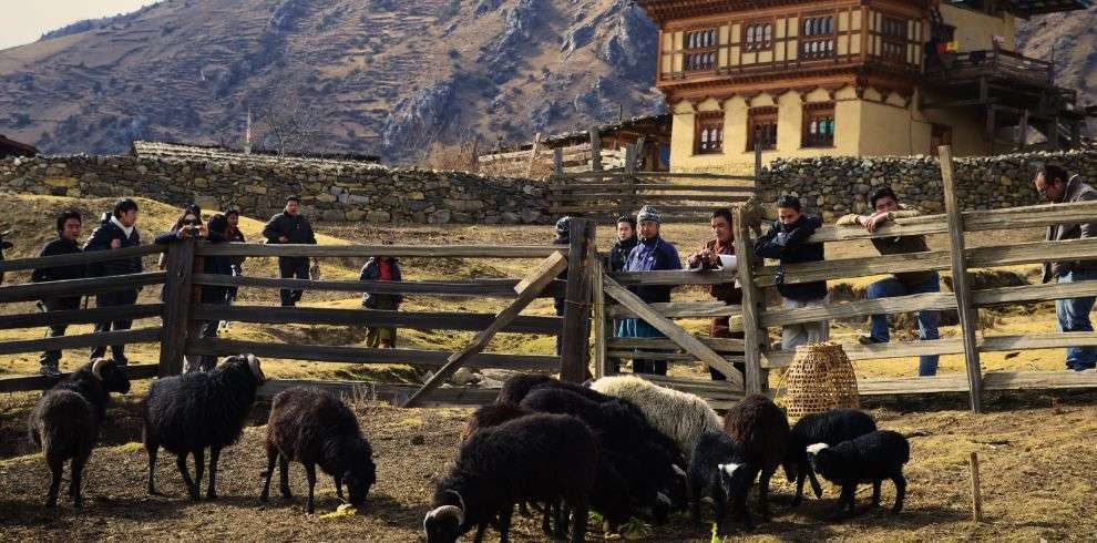 Green Destination-CARBON NEGATIVE COUNTRY in Bhutan