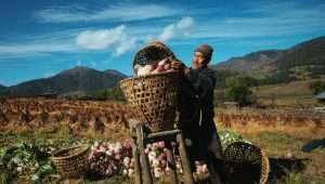 Happiness Discovery-PHALLUS VILLAGE in Bhutan