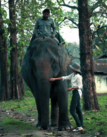 Manas Jungle Safari