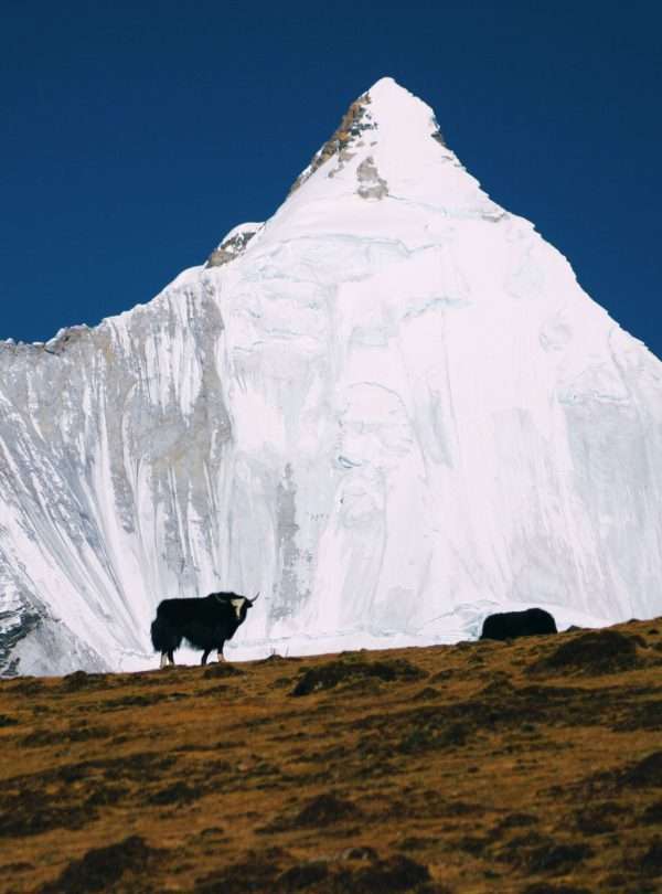 Central Bhutan in Bhutan