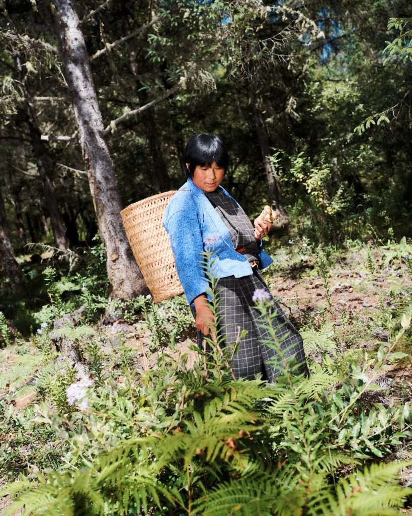 A L Λ Y Λ @Traveling | Best Under the BHUTANESE Sky | Mushrooms and Foraging IN BHUTAN