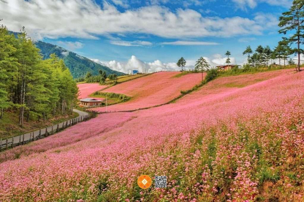 Top Attractions in Bumthang Bhutan - Tang Valley